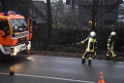 Container LKW umgestuerzt Koeln Brueck Bruecker- Dellbruecker Mauspfad P049